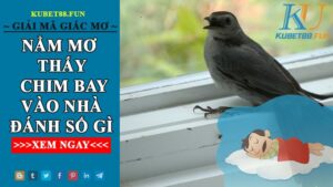 Giải Mã Hiện Tượng Chim Bay Vào Nhà Đánh Số Gì?