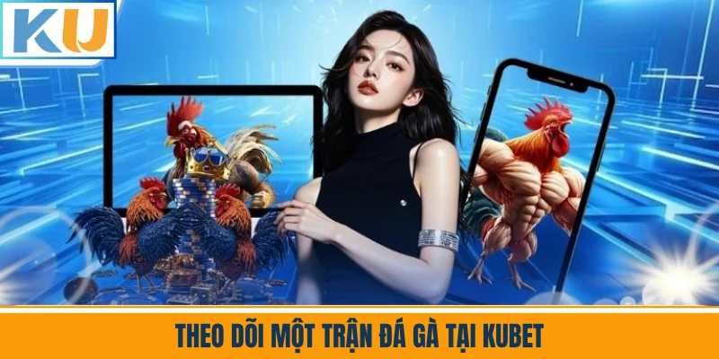 Theo Dõi Một Trận Đá Gà Tại Kubet