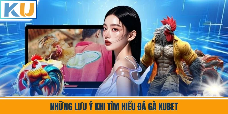 Những Lưu Ý Khi Tìm Hiểu Đá Gà Kubet